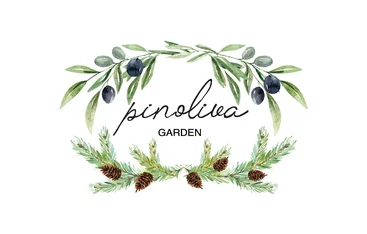 Pinoliva
